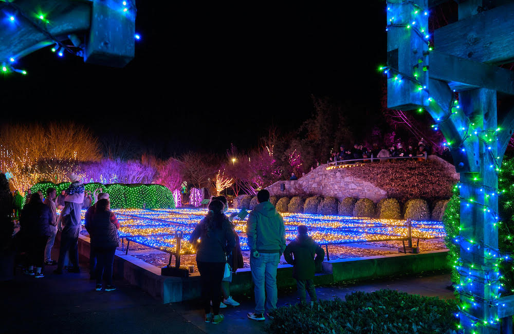 Winter Lights at NC Arboretum Photo Tour